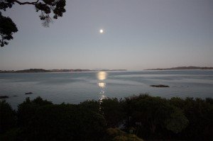 Algies Bay