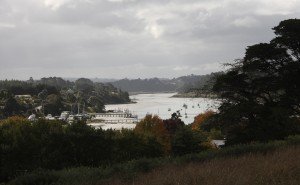 SW